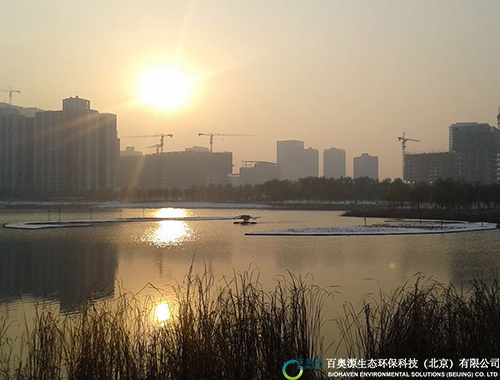 河南郑东新区龙子湖水生态修复项目